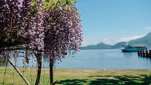 雪國之夏 | 北海道私家路線 (上篇)