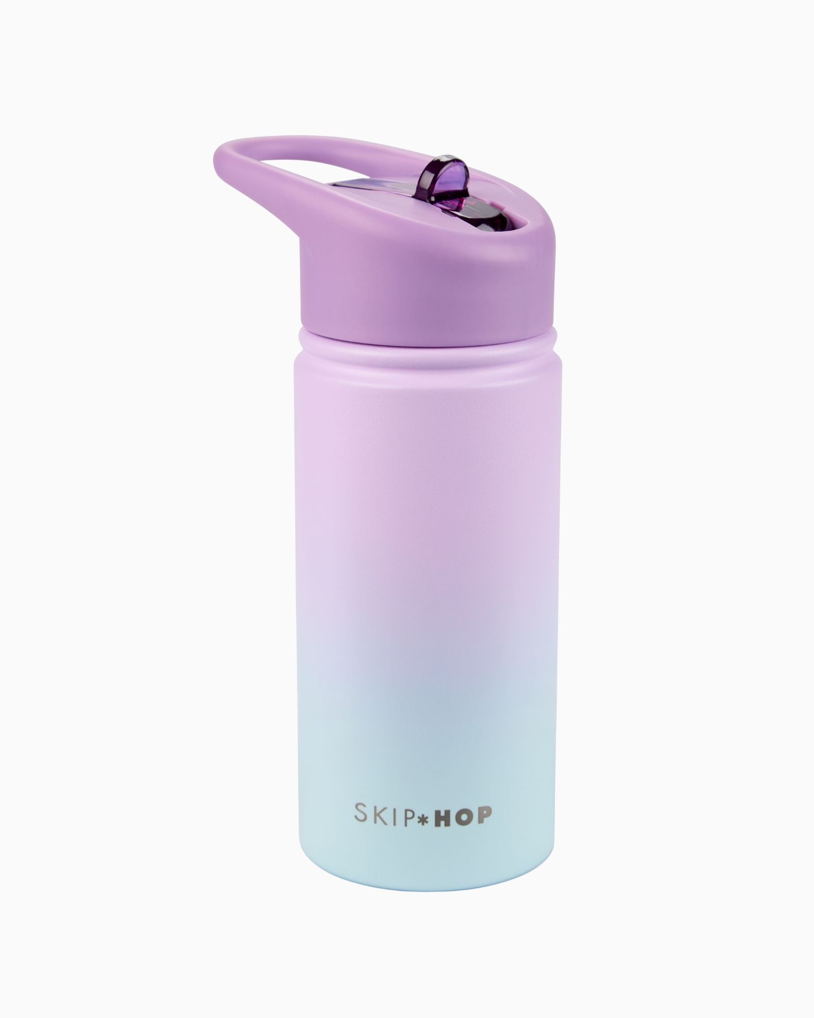 Skip Hop Wander Stainless Steel Water Bottle