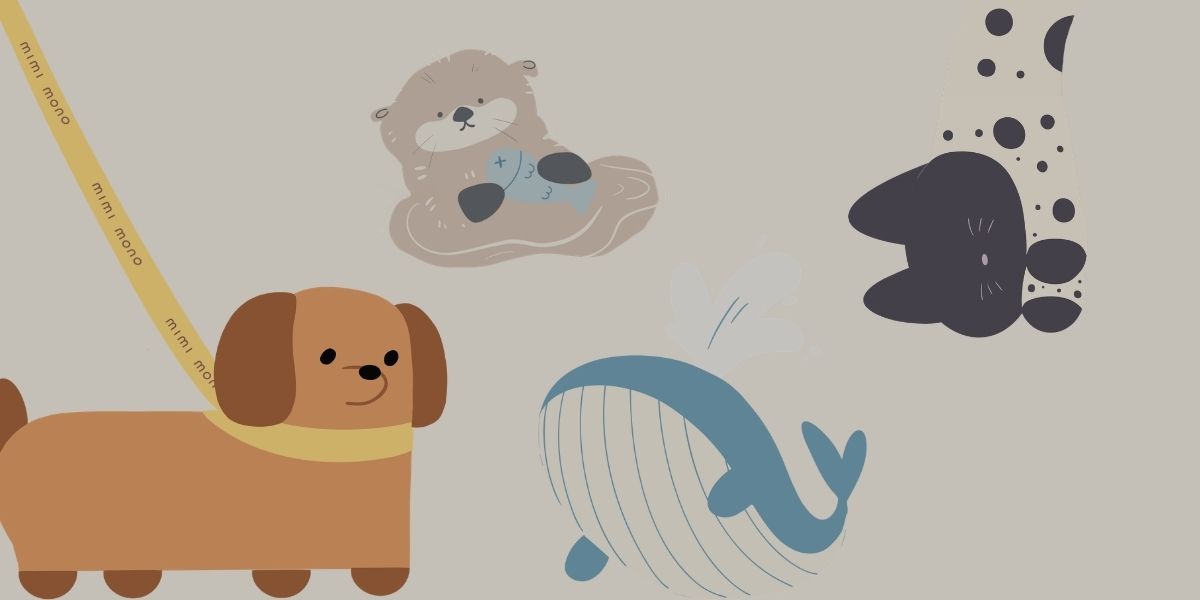 Animal Collection
